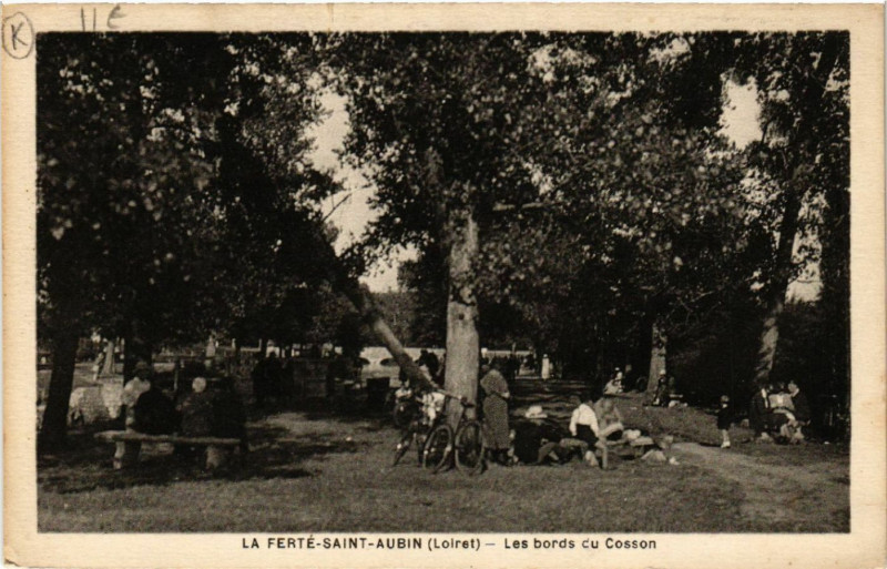Carte postale ancienne La Ferte- Saint-Aubin - Les Bords du Cosson