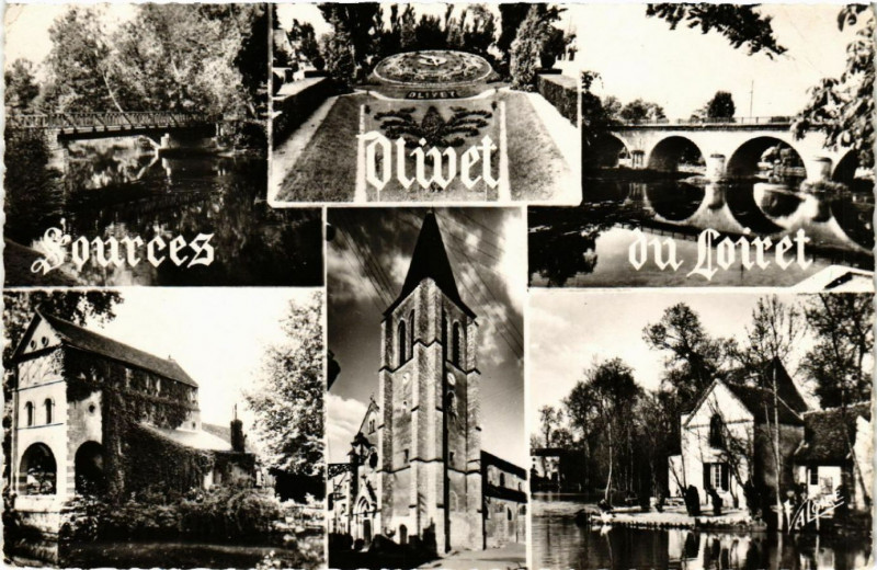 Carte postale ancienne Olivet - Scenes à Olivet