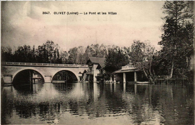 Carte postale ancienne Olivet Le Pont et les Villas à Olivet