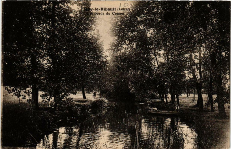 Carte postale ancienne Ligny-le-Ribault Les Bords du Cosson à Ligny-le-Ribault