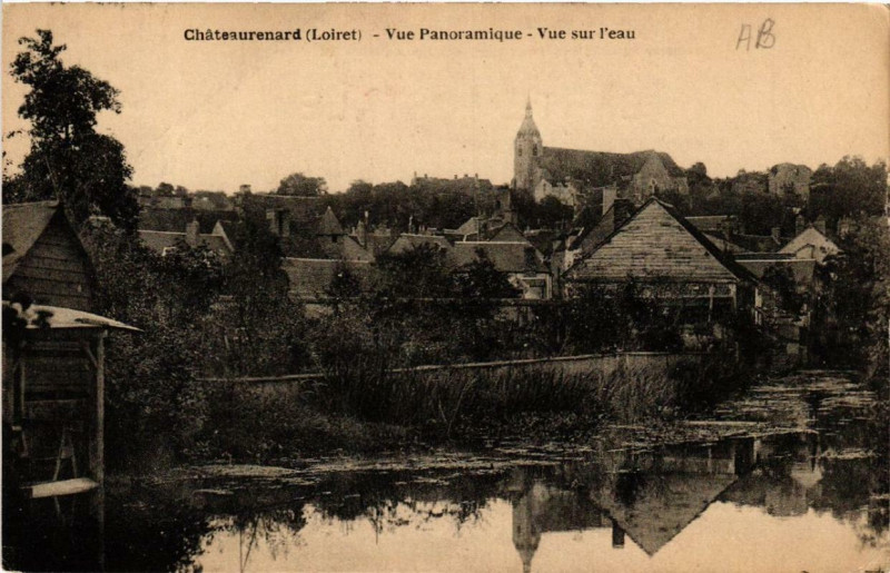 Carte postale ancienne Chateau-Renard vue panoramique vue sur l'eau à Château-Renard