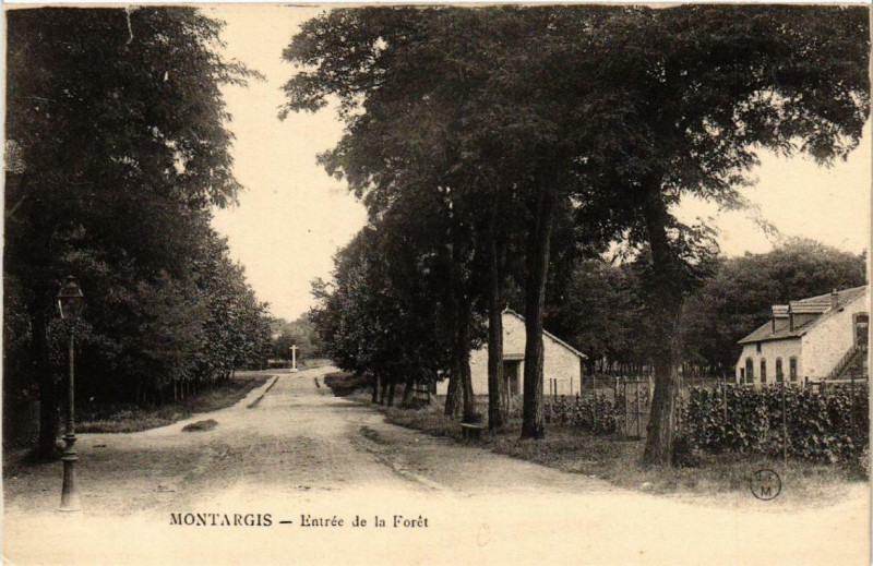 Carte postale ancienne Montargis Entrée de la Foret à Montargis