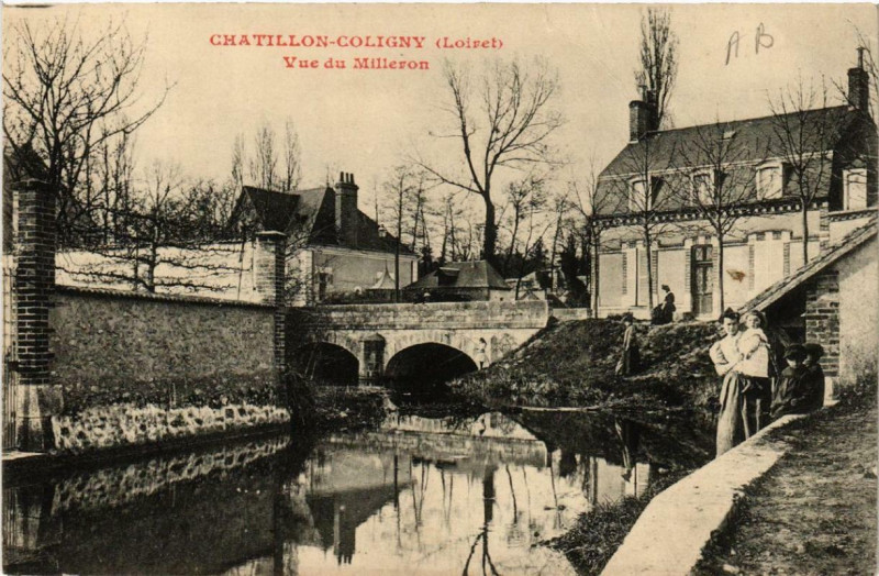 Carte postale ancienne Chatillon-Coligny Vue du Milleron à Châtillon-Coligny