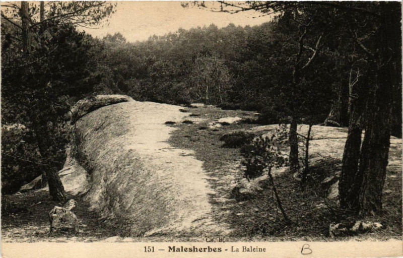 Carte postale ancienne Malesherbes La Baleine