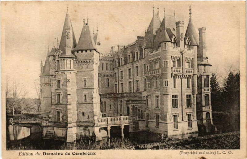 Carte postale ancienne Le Chateau