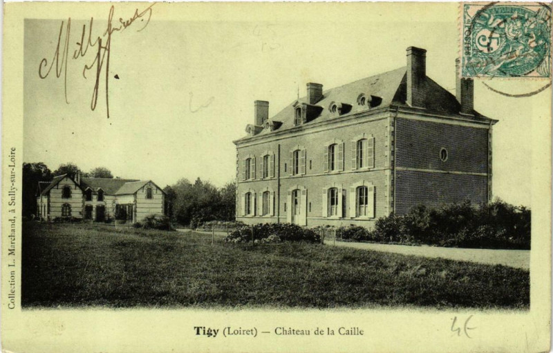 Carte postale ancienne Tigy Chateau de la Caille à Tigy