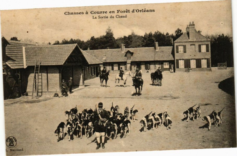 Carte postale ancienne Chasses a Courre en Foret d'Orleans-La Sortie du Chenil