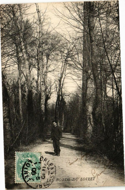 Carte postale ancienne Les Bords du Loiret