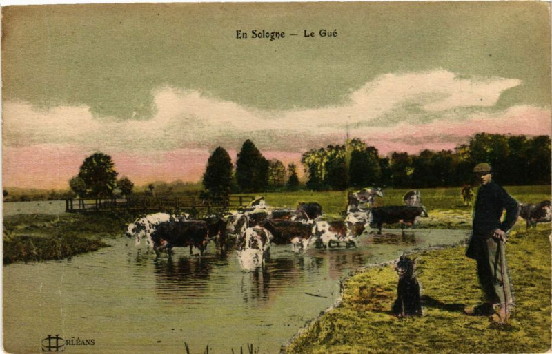 Carte postale ancienne En Sologne - Le Gue