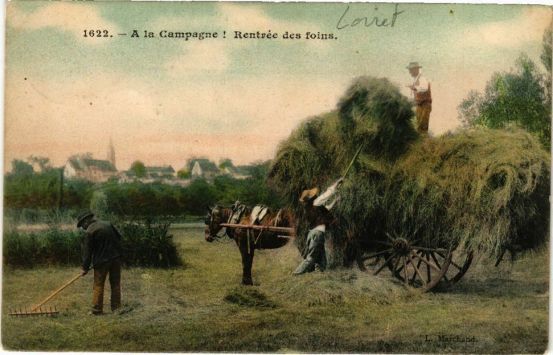 Carte postale ancienne A la Campagne - Rentrée des foins
