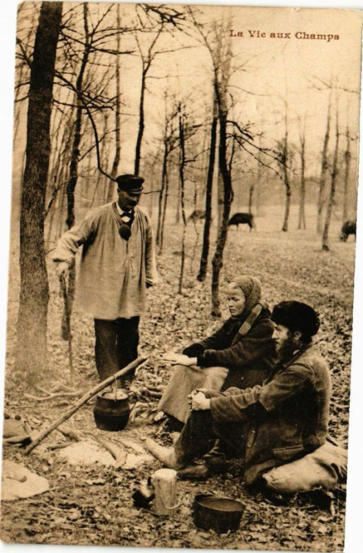 Carte postale ancienne La Vie aux Champs