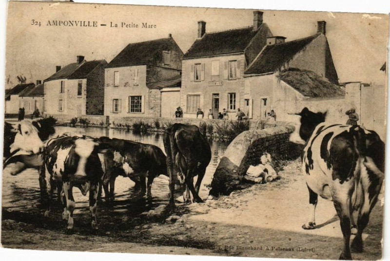Carte postale ancienne Amponville - La Petite Mare