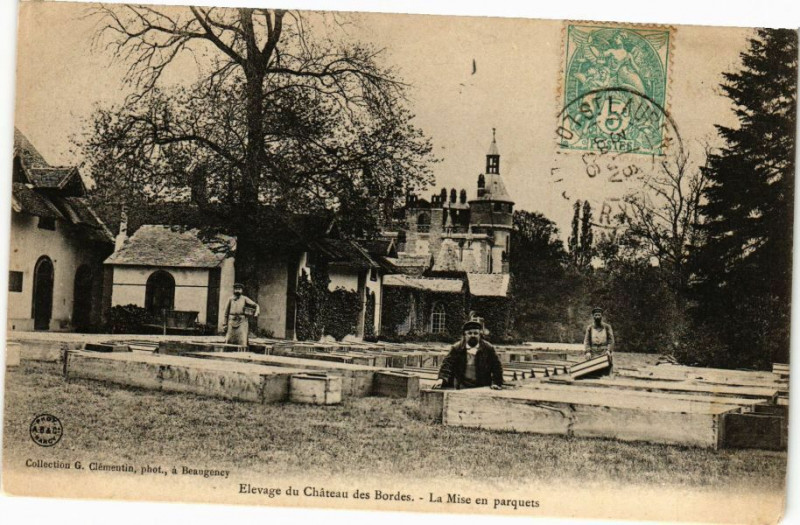 Carte postale ancienne Elevague du Chateau des Bordes