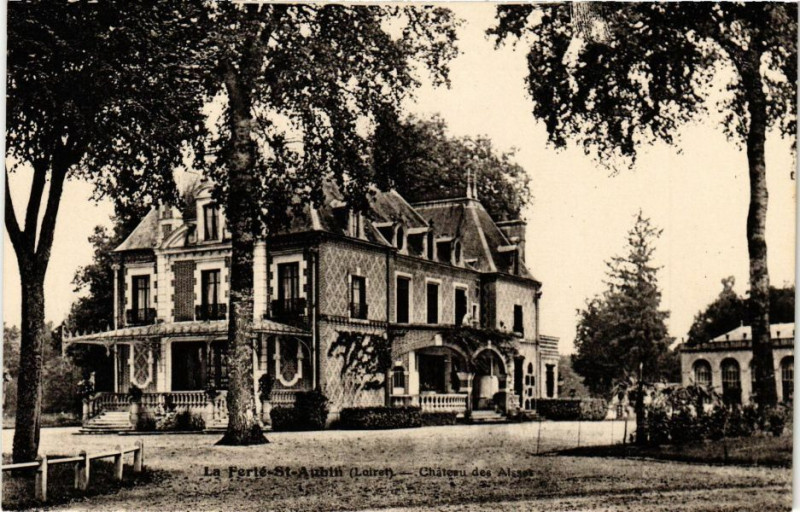 Carte postale ancienne La Ferte Saint-Aubin - Chateau des Aisses