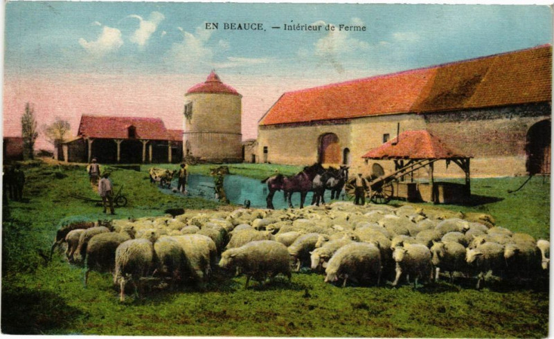 Carte postale ancienne En Beauce - Interieur de Ferme