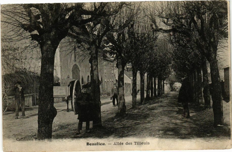 Carte postale ancienne Beaulieu - Allée des Tilleus