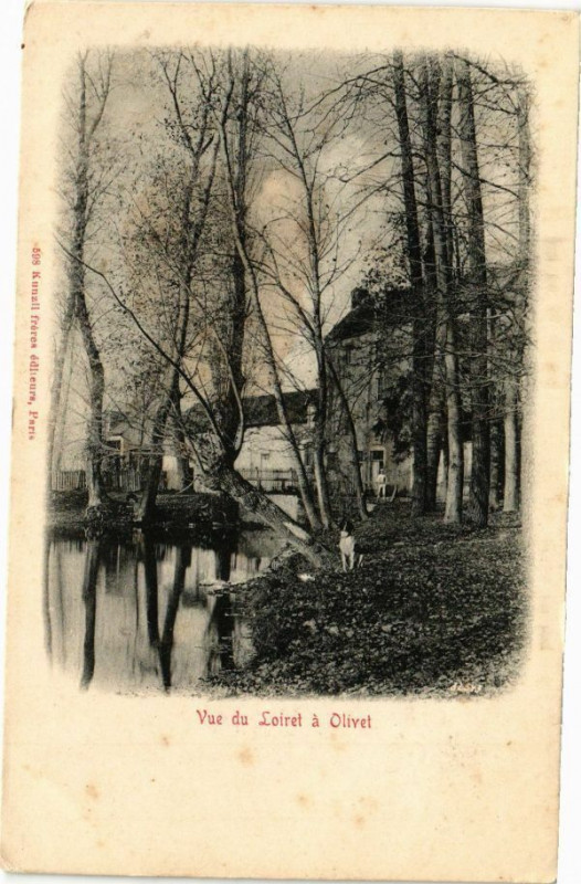 Carte postale ancienne Olivet - Vue du Loiret à Olivet