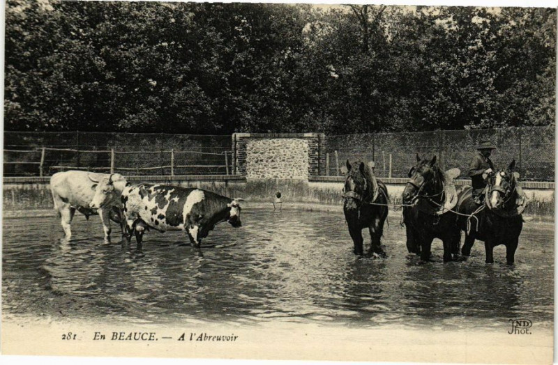 Carte postale ancienne En Beauce - A l Abreuvoir