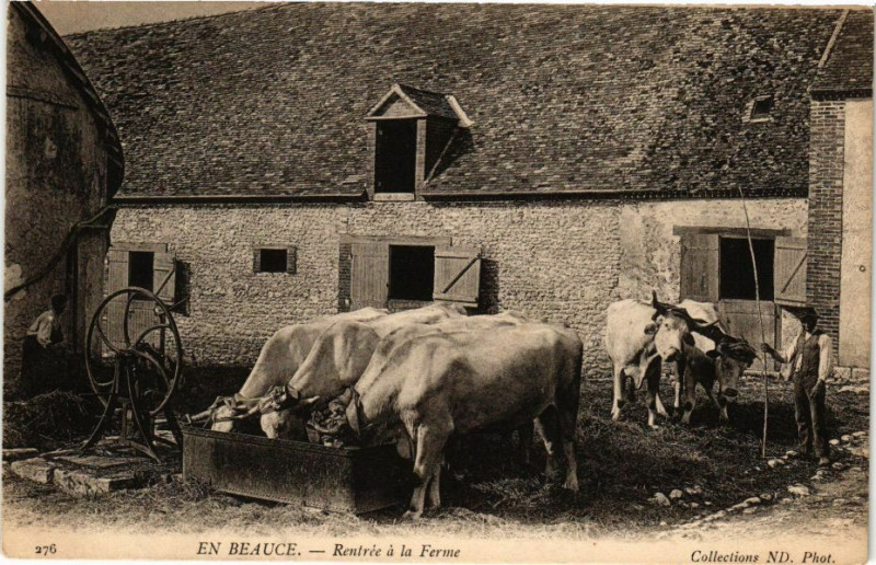Carte postale ancienne En Beauce - Retrée a la Ferme