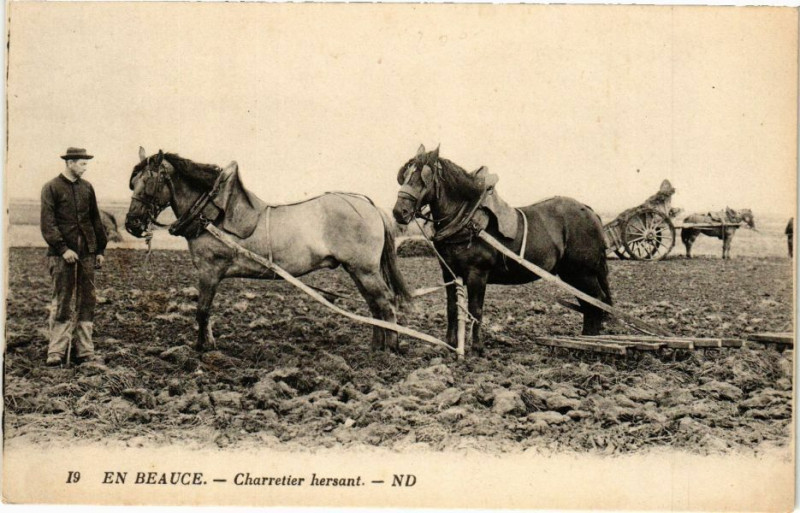 Carte postale ancienne En Beauce - Charretier hersant
