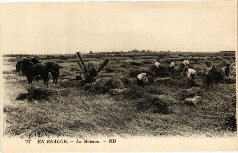 Carte postale ancienne En Beauce - La Moisson