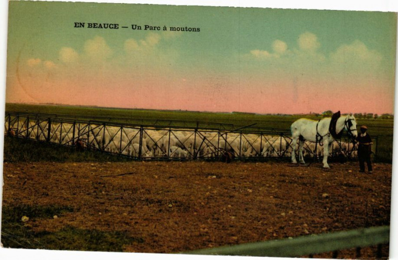 Carte postale ancienne En Beauce - Un parc a moutons