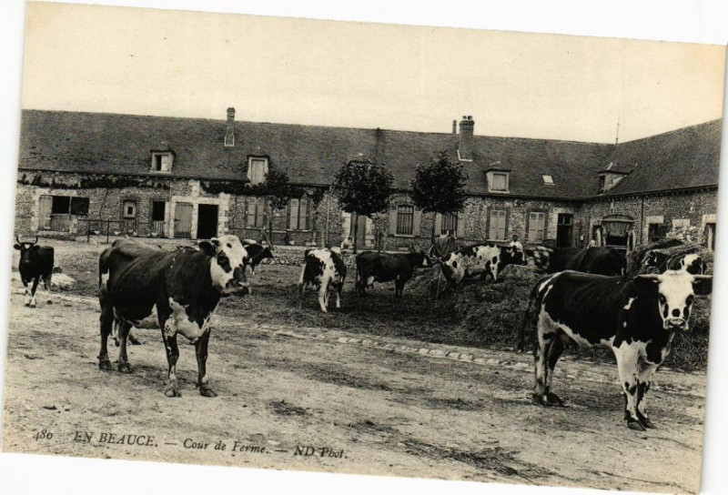 Carte postale ancienne En Beauce - Cour de Ferme
