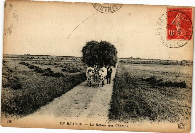Carte postale ancienne En Beauce - Le Retour des Champs