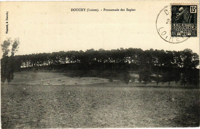 Carte postale ancienne Douchy-Promenade des Sapins