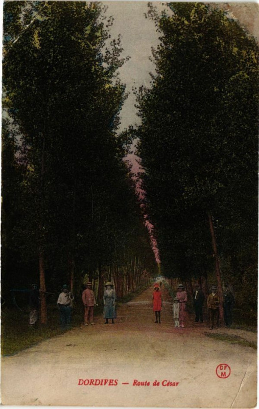 Carte postale ancienne Dordives-Route de Cesar à Dordives