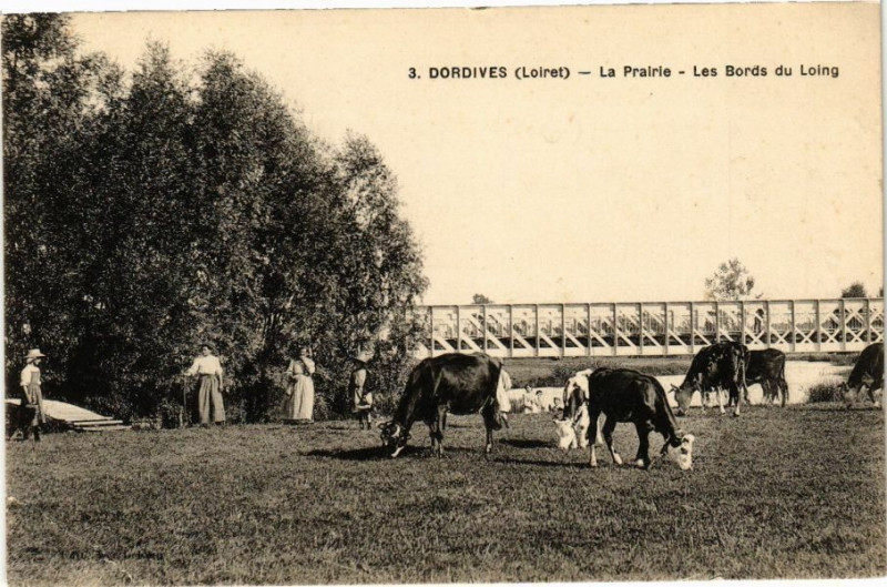 Carte postale ancienne Dordives-La Prairie-Les Bords du Loing à Dordives