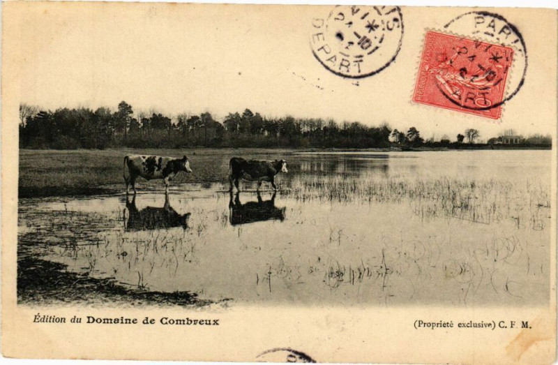 Carte postale ancienne Edition du Domaine de Combreux à Combreux