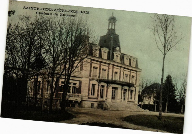 Carte postale ancienne Sainte-Genevieve des Bois-Chateau du Buisson