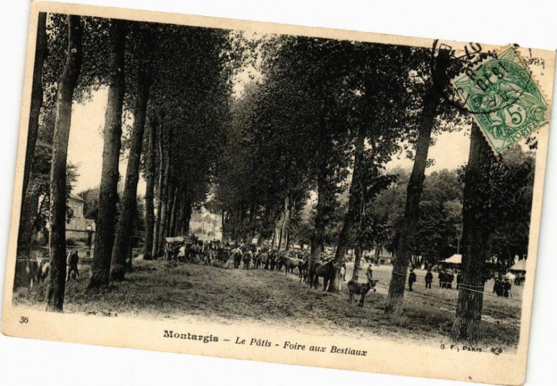 Carte postale ancienne Montargis-Le Patis-Foire aux Bestiaux à Montargis