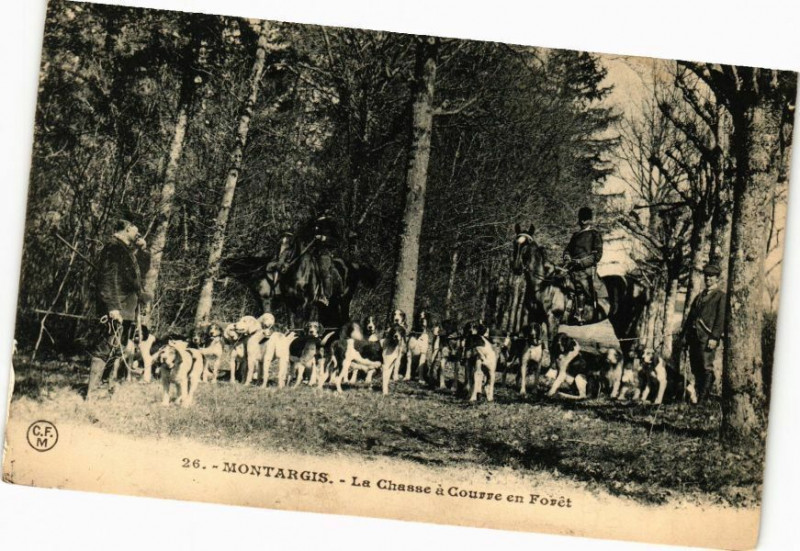 Carte postale ancienne Montargis-La Chasse a Courre en Foret à Montargis