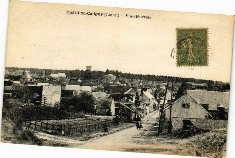 Carte postale ancienne Chatillon-Coligny-Vue générale