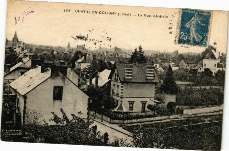 Carte postale ancienne Chatillon-Coligny-La Vue générale
