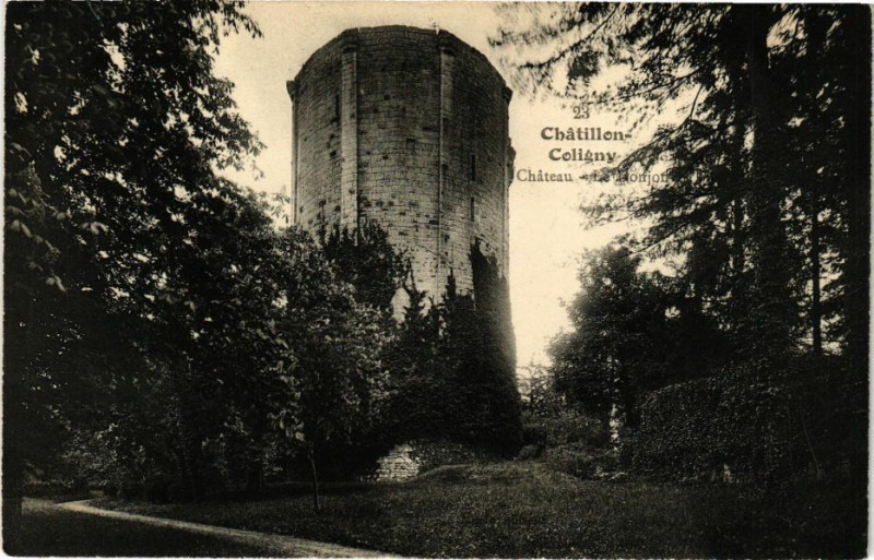 Carte postale ancienne Chatillon - Coligny - Chateau le Monjou