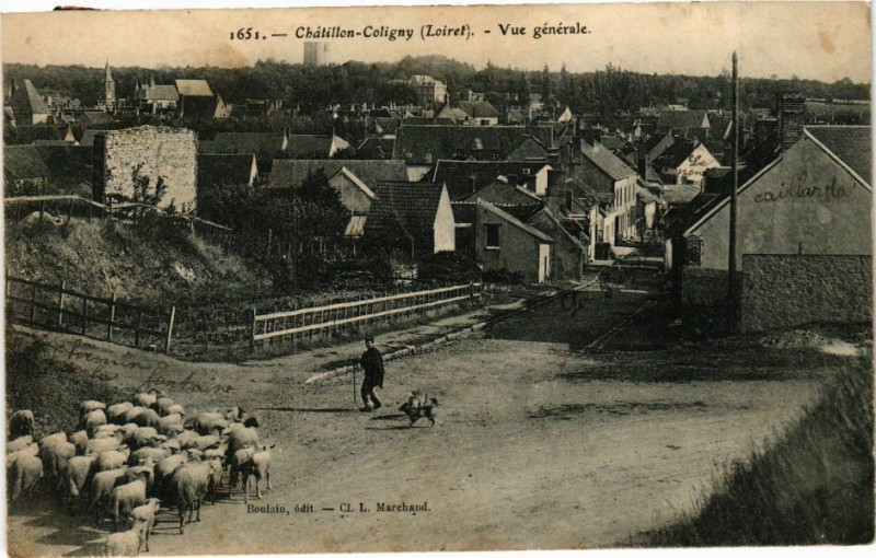 Carte postale ancienne Chatillon-Coligny - Vue générale à Châtillon-Coligny