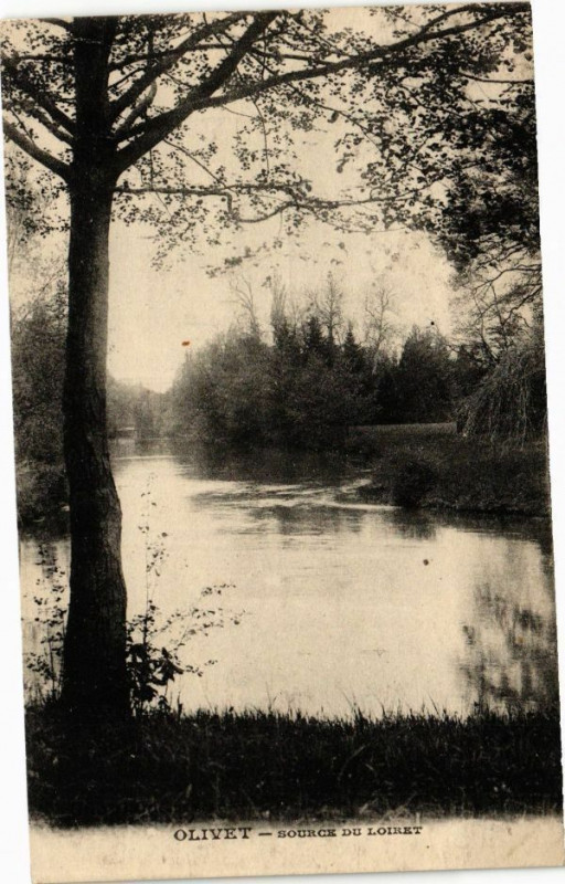 Carte postale ancienne Olivet - Source du Loiret à Olivet