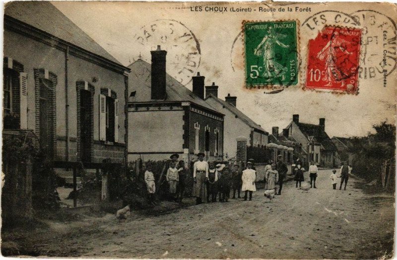Carte postale ancienne Les Choux - Route de la Foret aux Choux