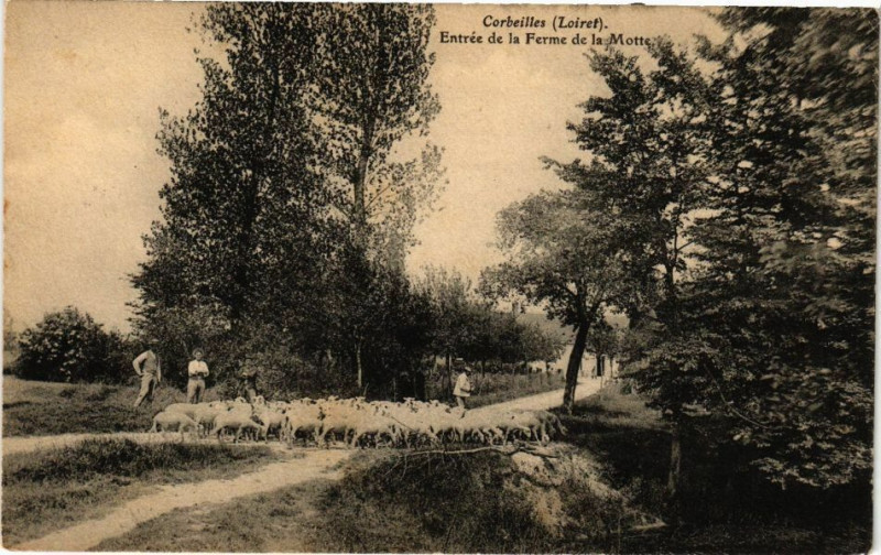 Carte postale ancienne Corbeilles - Entrée de la Ferme de la Motte à Corbeilles