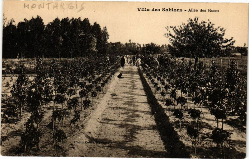 Carte postale ancienne Villa des Sablons - Allée des Roses