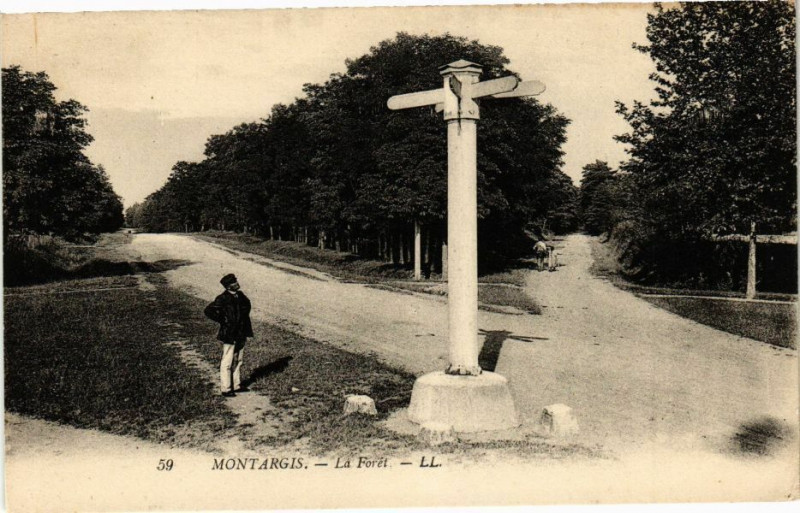 Carte postale ancienne Montargis - La Foret à Montargis
