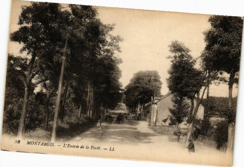 Carte postale ancienne Montargis - L'Entrée de la Foret à Montargis