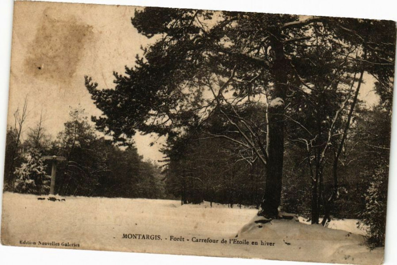 Carte postale ancienne Montargis - Foret - Carrefour de l'Etoile en hiver à Montargis