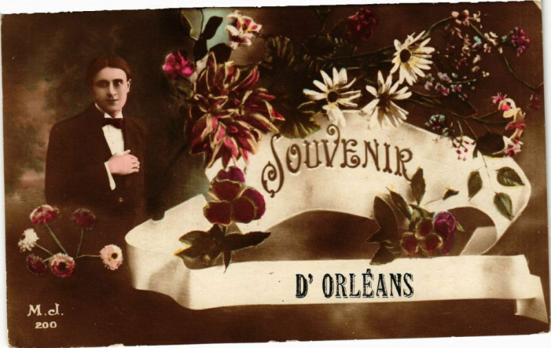 Carte postale ancienne Souvenir d'Orleans