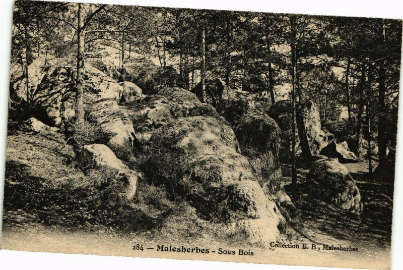 Carte postale ancienne Malesherbes - Sous Bois