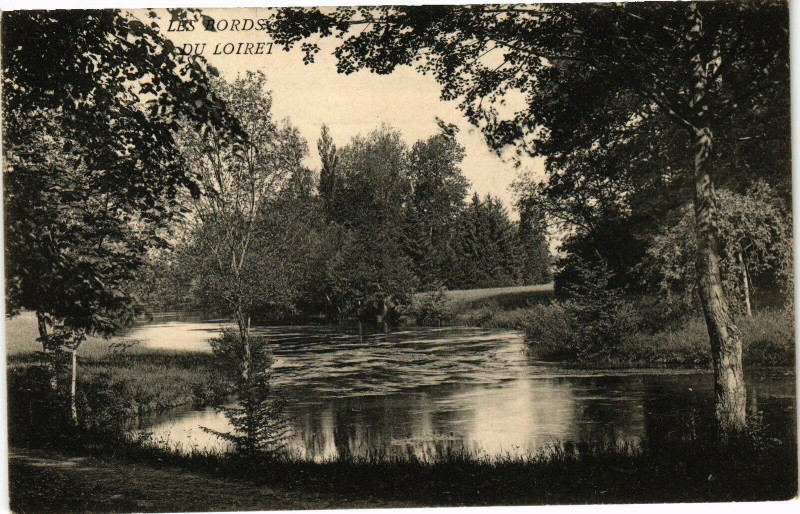 Carte postale ancienne Les Bords du Loiret