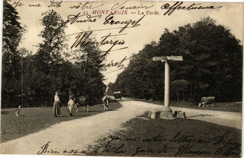 Carte postale ancienne Montargis-La Foret à Montargis